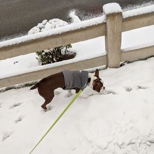 Meet your Posher, April